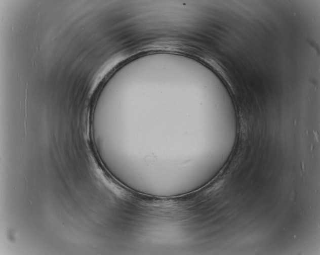 X0000103971131200809191352
