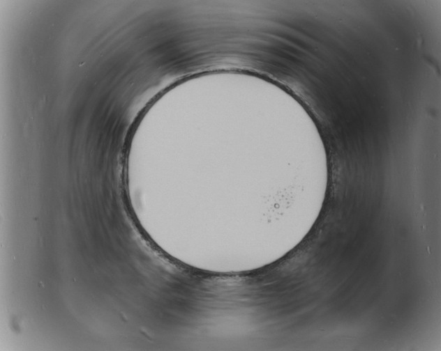 X0000103971134200809191352