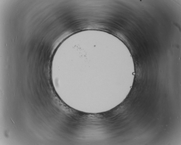 X0000103971138200809191352