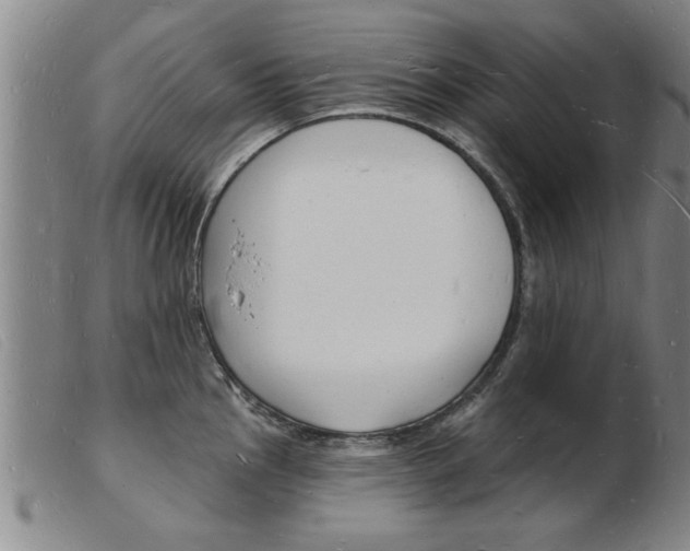 X0000103971145200809191352