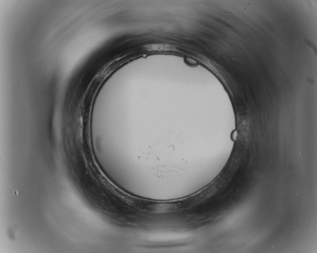 X0000103971151200809191352