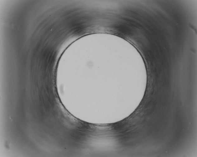 X0000103971152200809191352