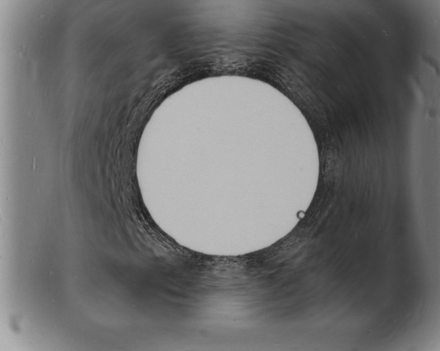 X0000103971153200809191352