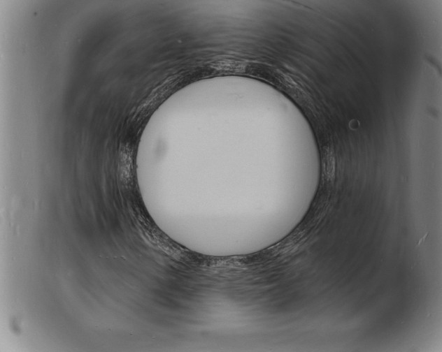 X0000103971154200809191352