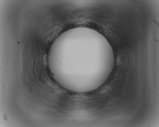 X0000103971156200809191352