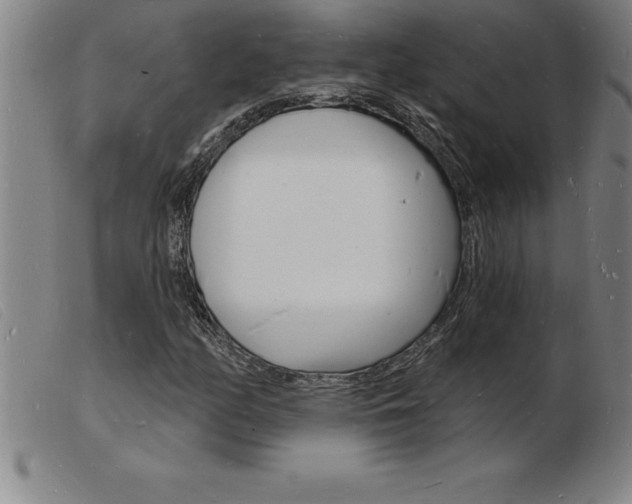 X0000103971158200809191351