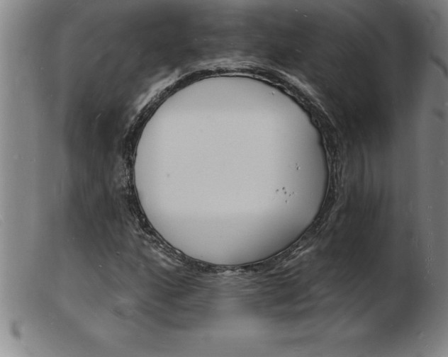 X0000103971160200809191351