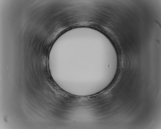 X0000103971161200809191351