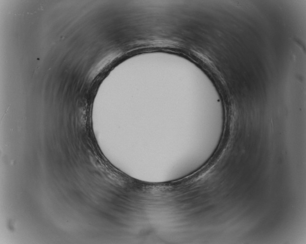 X0000103971163200809191351
