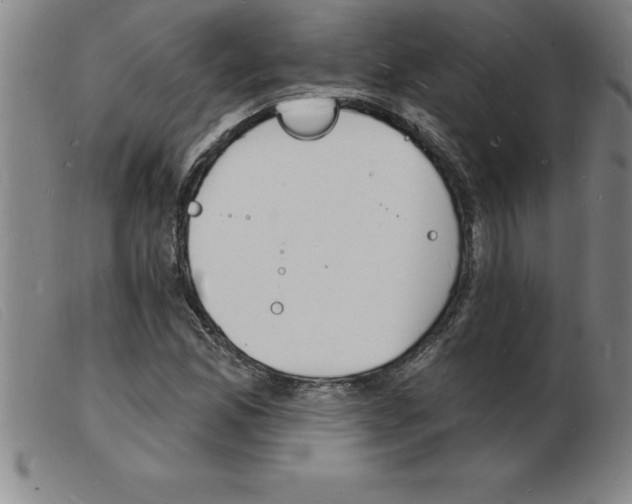 X0000103971165200809191351