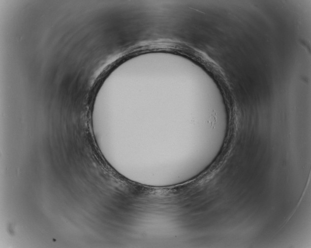 X0000103971166200809191351