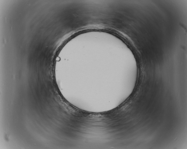 X0000103971168200809191351