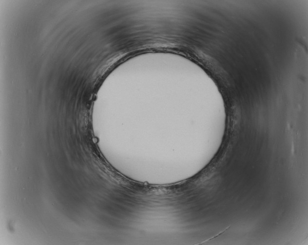 X0000103971169200809191351