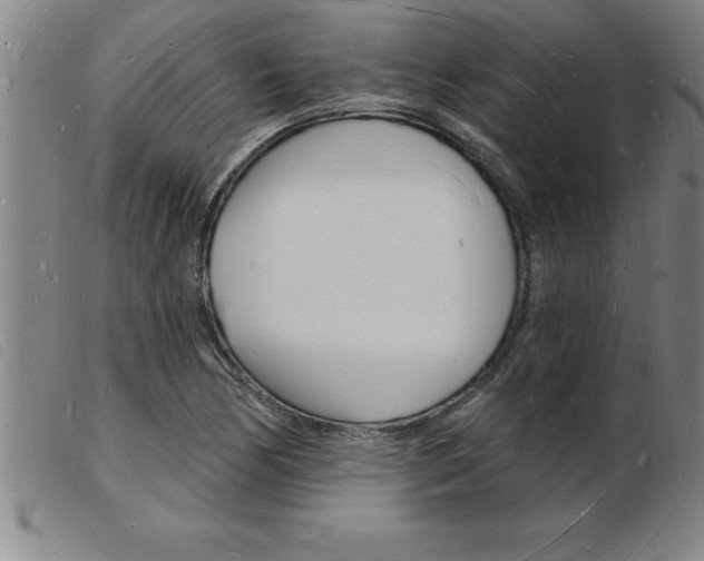 X0000103971170200809191351