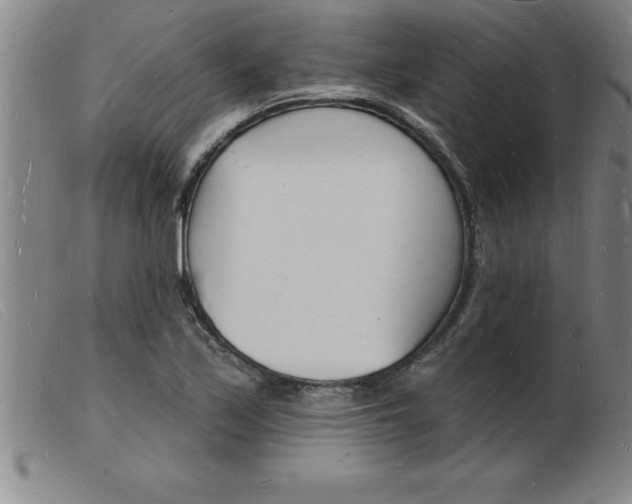 X0000103971171200809191351