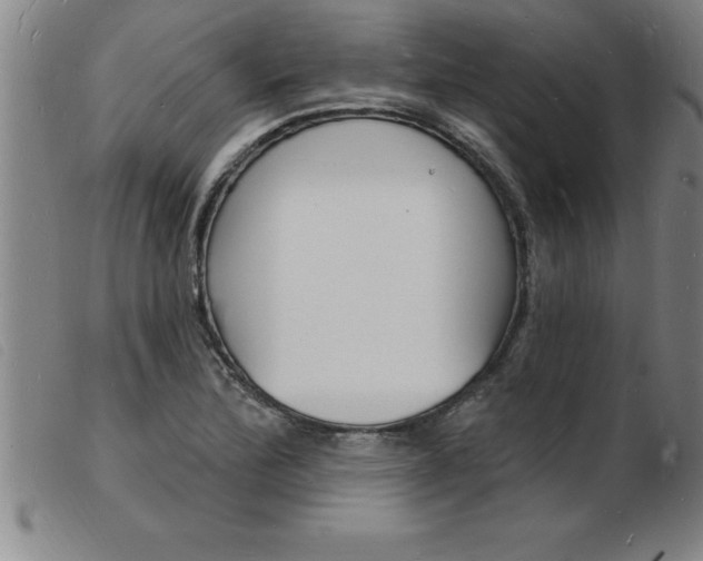 X0000103971172200809191351