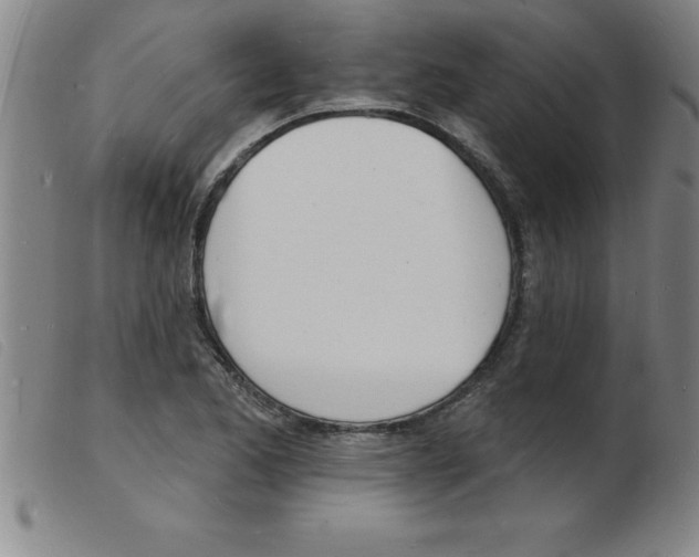 X0000103971173200809191351