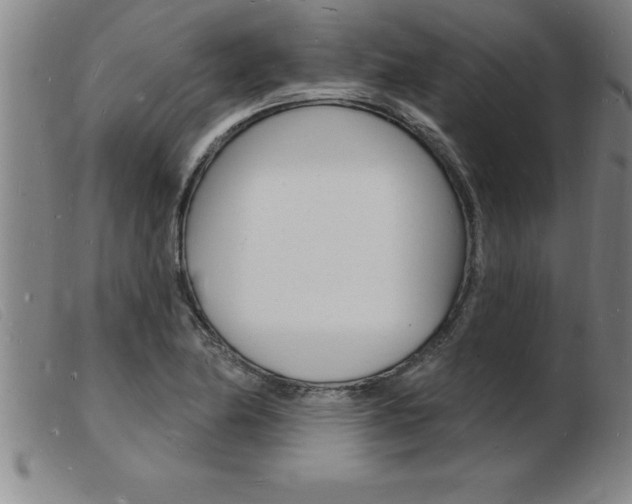 X0000103971174200809191351