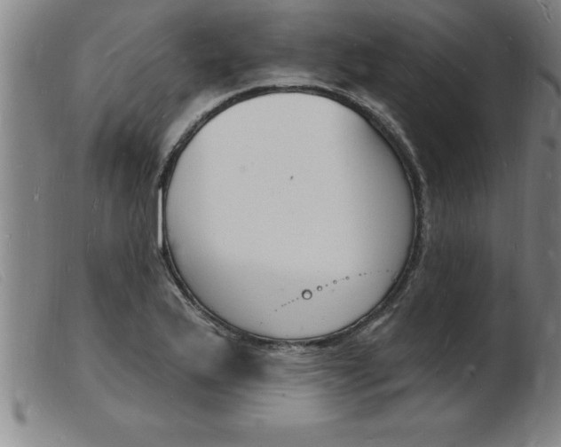 X0000103971175200809191351