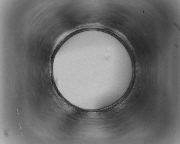 X0000103971176200809191351