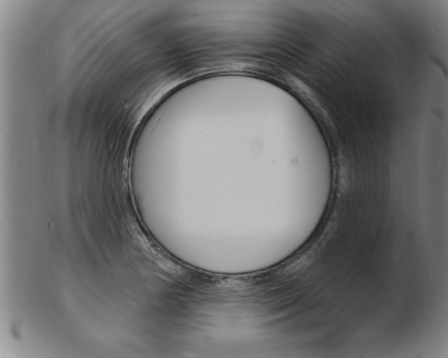 X0000103971178200809191351