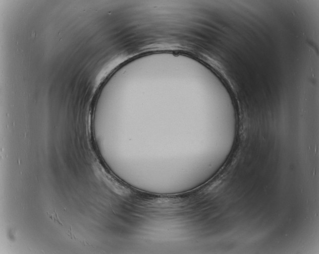 X0000103971179200809191351