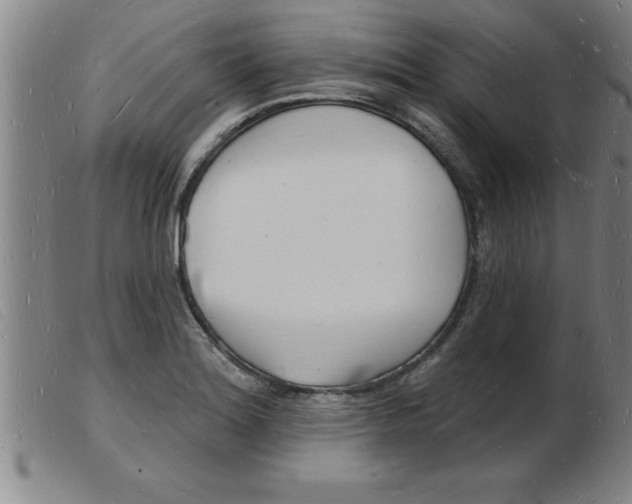 X0000103971180200809191351