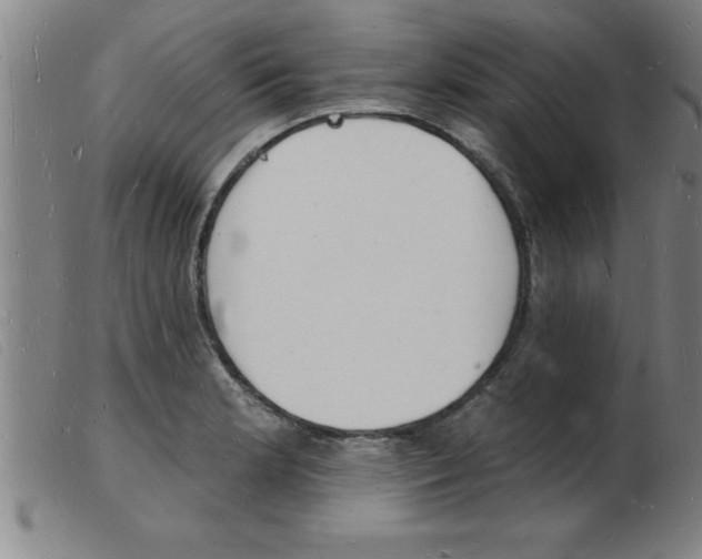 X0000103971181200809191351