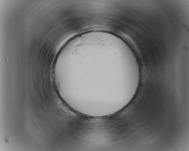 X0000103971182200809191351