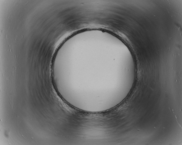 X0000103971183200809191351