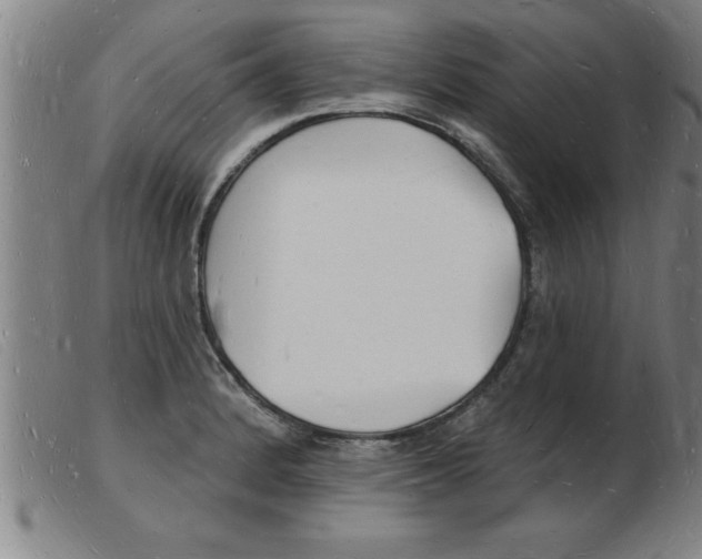 X0000103971184200809191351
