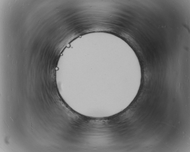 X0000103971185200809191351