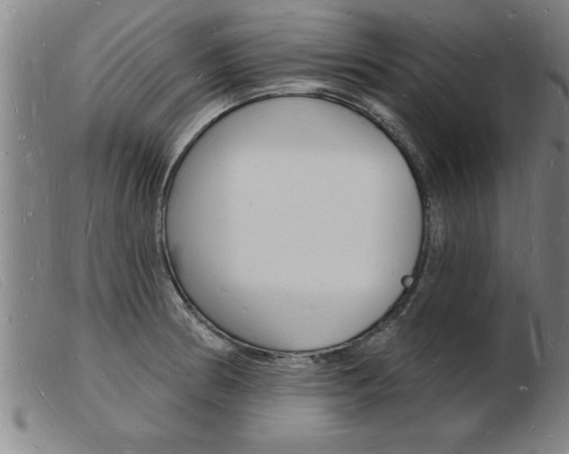 X0000103971186200809191351