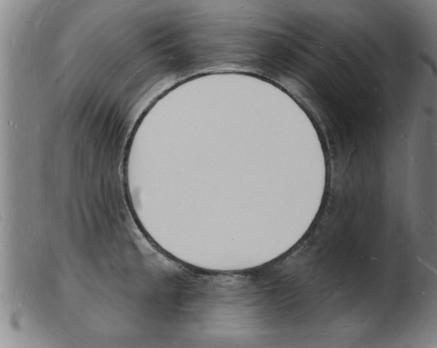 X0000103971189200809191351