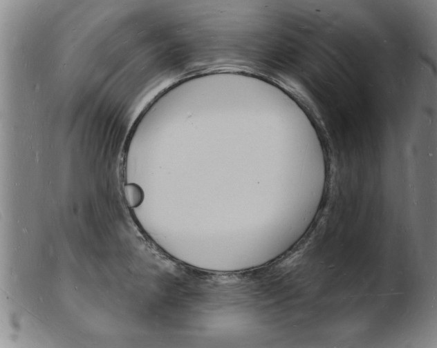 X0000103971190200809191351