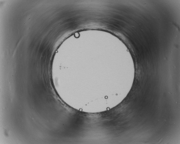X0000103971191200809191351