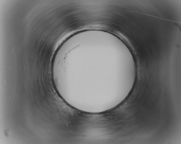 X0000103971192200809191351