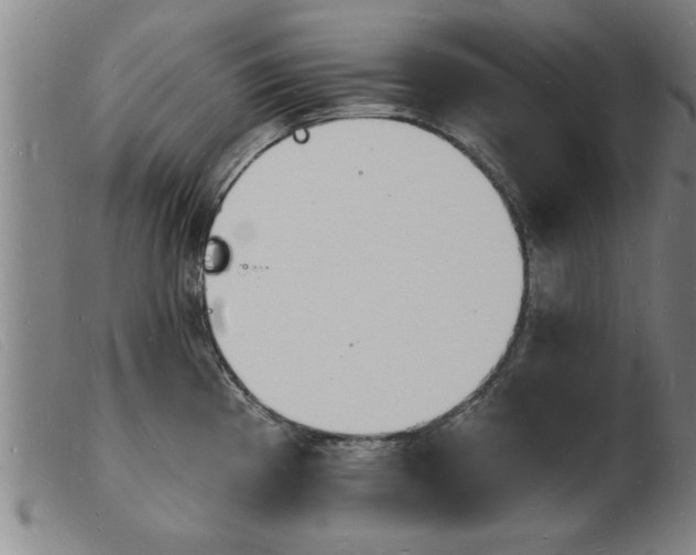 X0000103971193200809191351