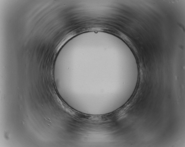 X0000103971194200809191351