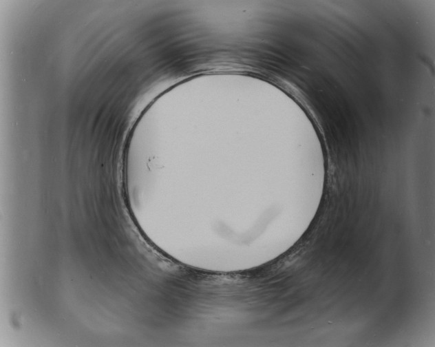 X0000103971195200809191351