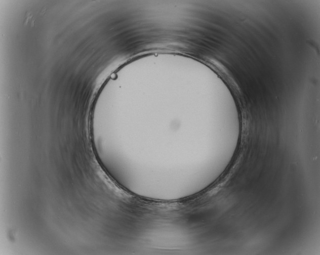 X0000103971196200809191351