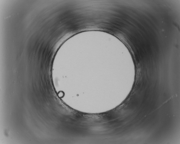 X0000103971197200809191351
