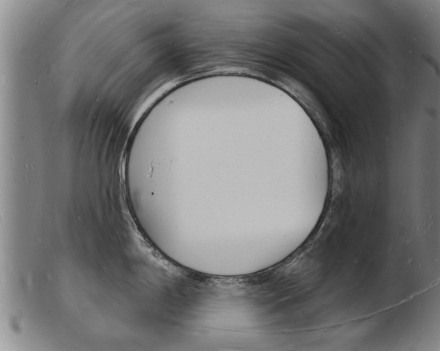 X0000103971198200809191351