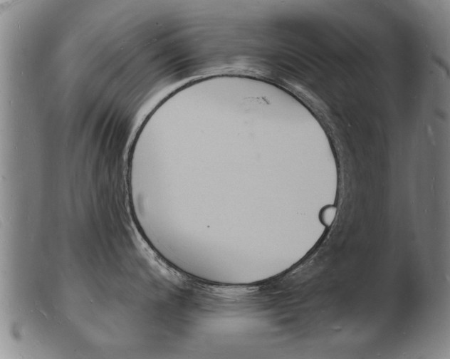 X0000103971200200809191351