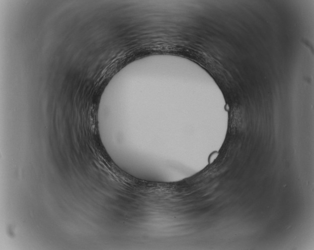 X0000103971202200809191350