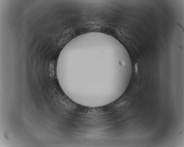 X0000103971203200809191350