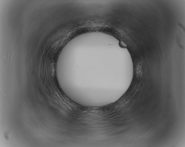X0000103971204200809191350