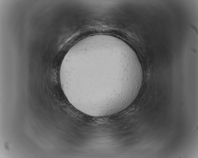 X0000103971205200809191350