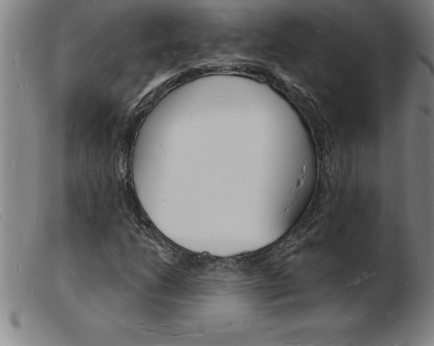 X0000103971206200809191350