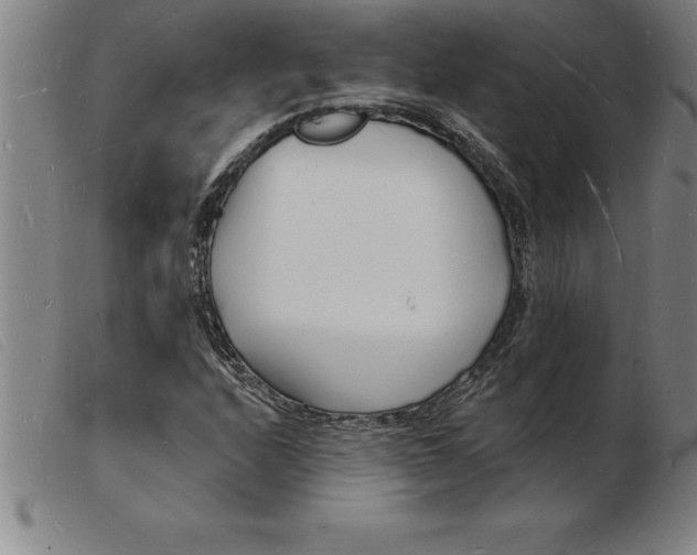 X0000103971208200809191350